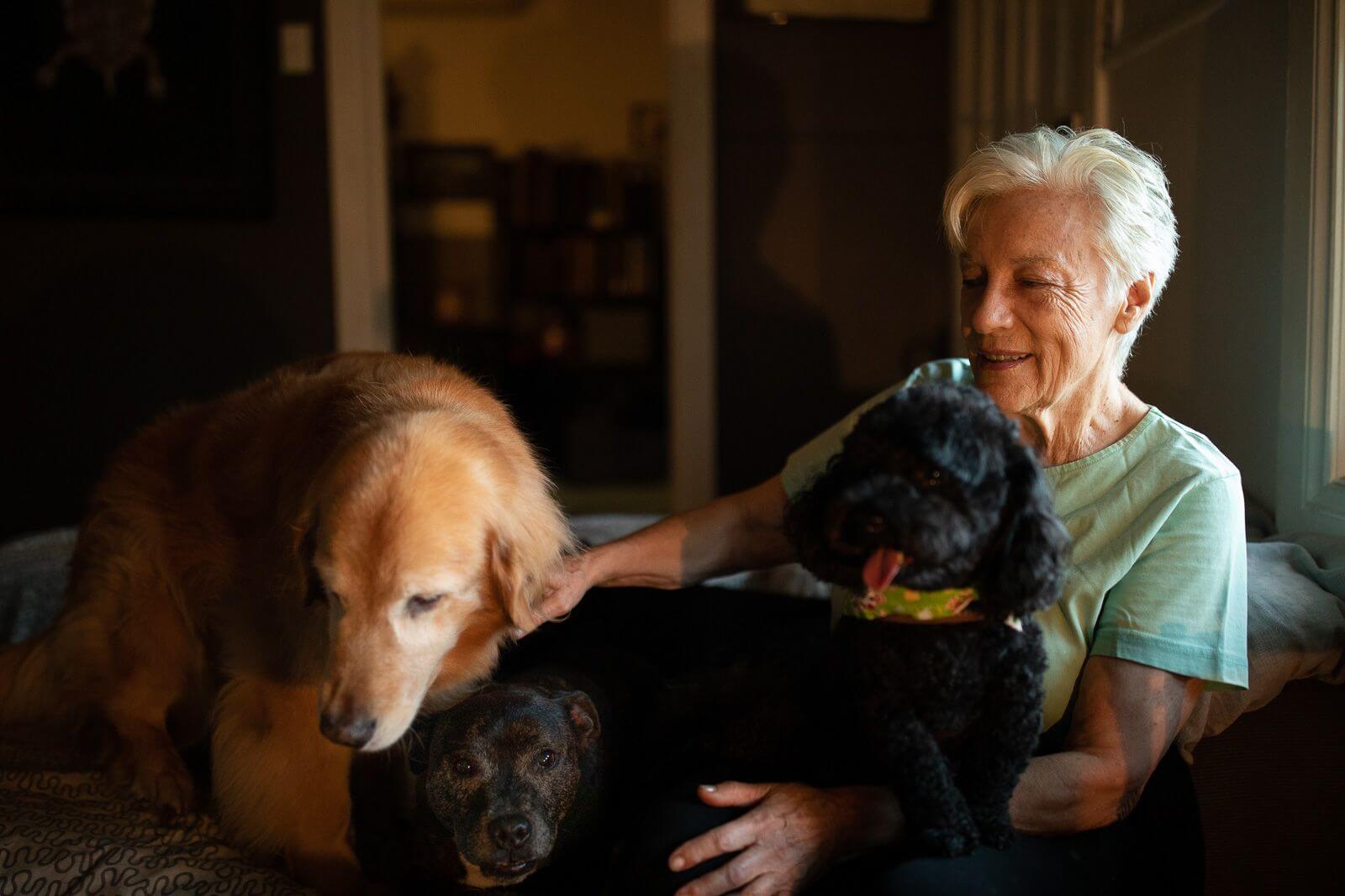 Dog boarding Sydney Eastern Suburbs